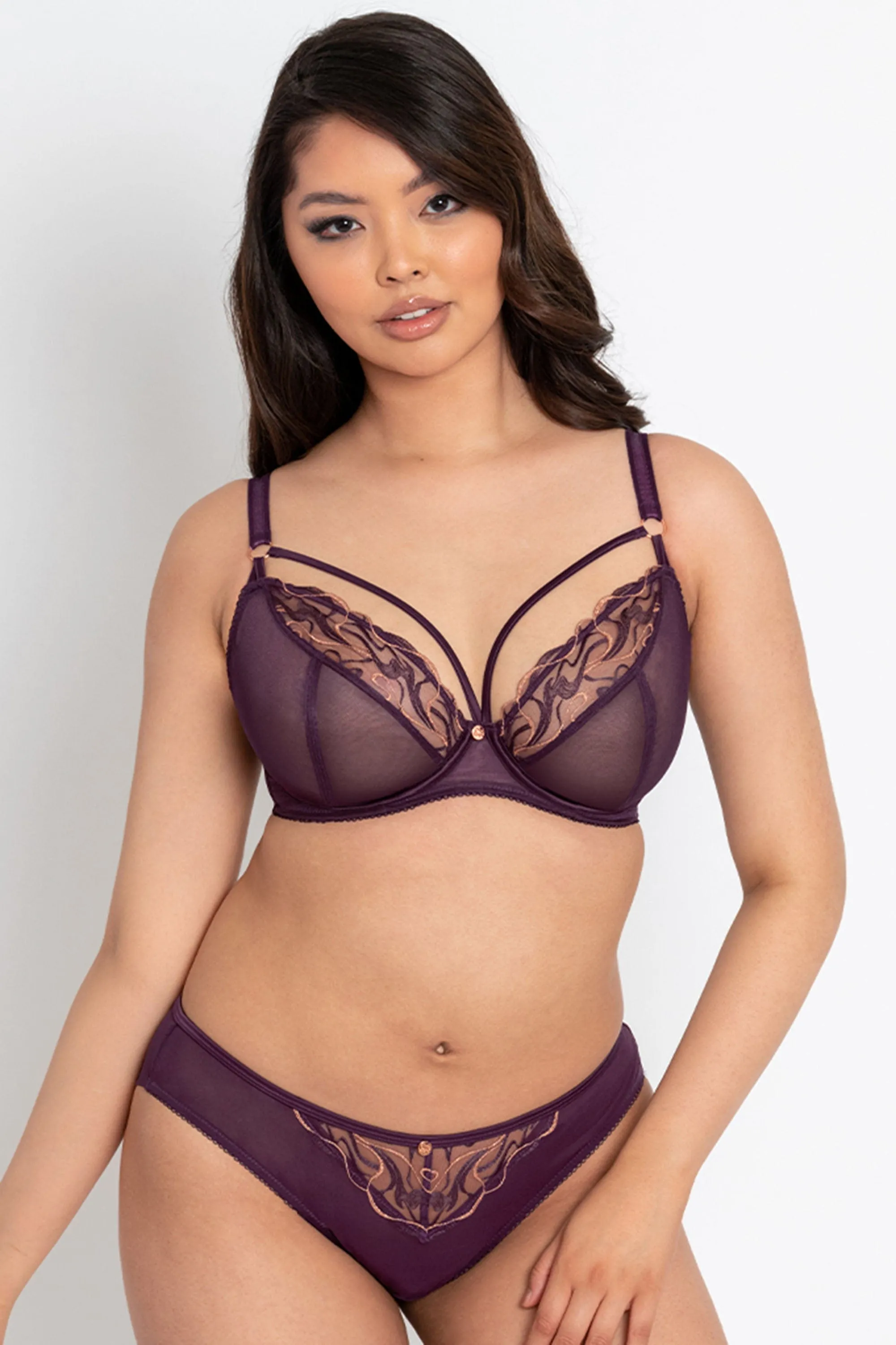 Fascinate Plum Plunge Bra