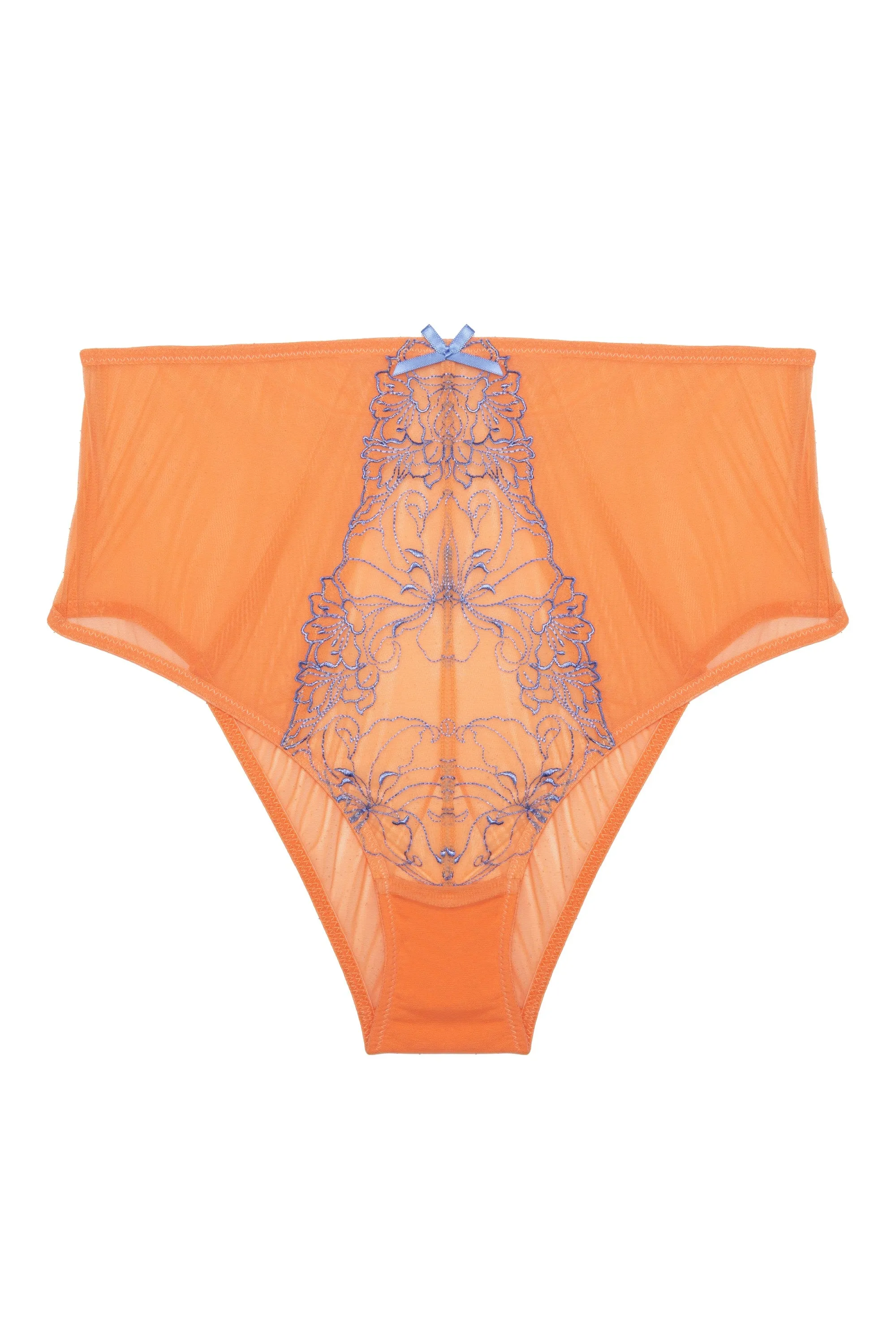 Palm Bay Coral Embroidery High Waist Brief