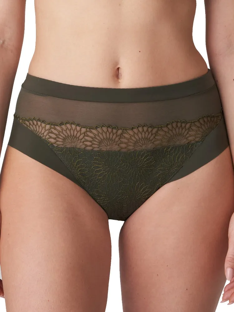 Sophora Full Brief