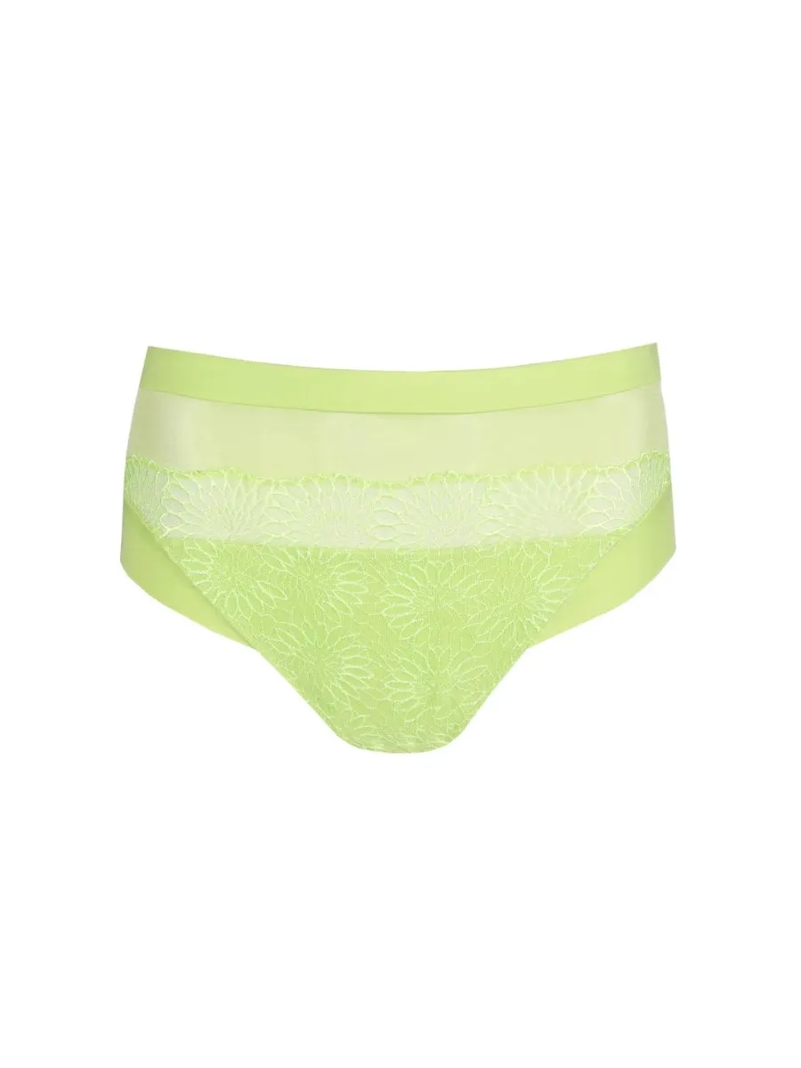 Sophora Full Brief