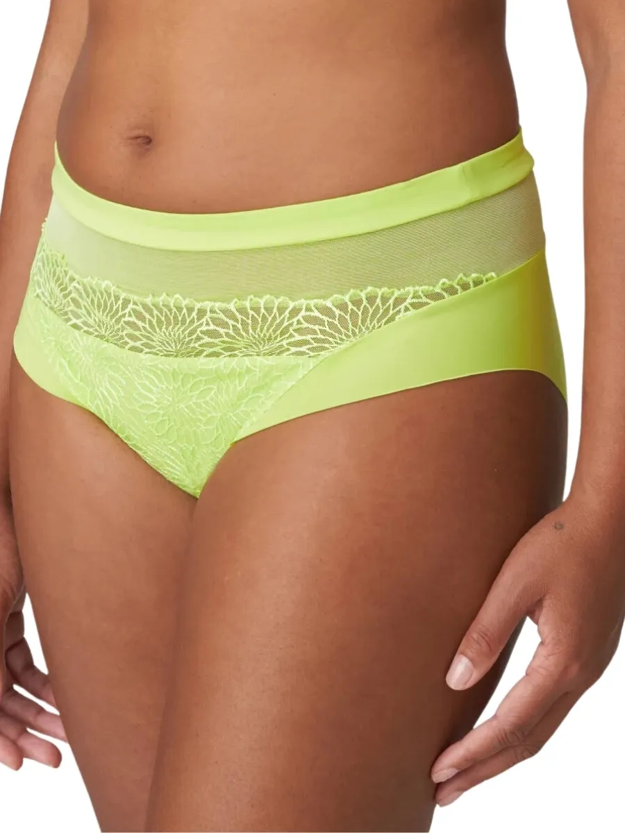 Sophora Full Brief