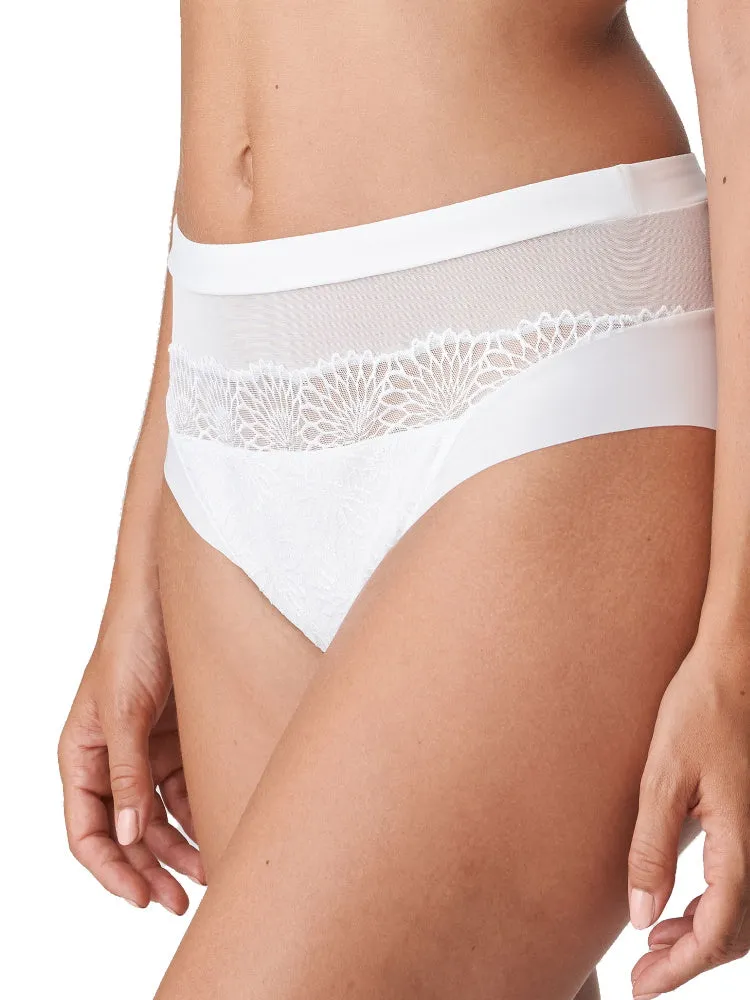 Sophora Full Brief