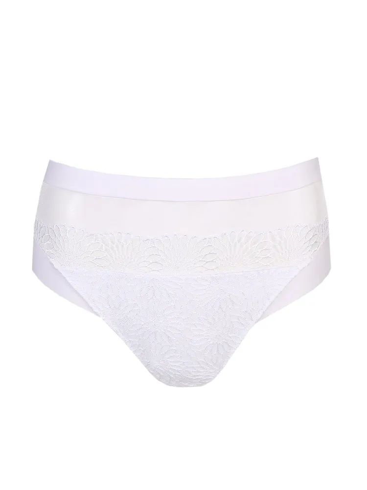 Sophora Full Brief