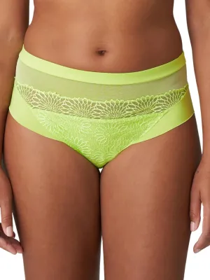 Sophora Full Brief