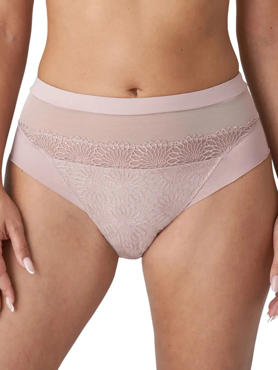 Sophora Full Brief