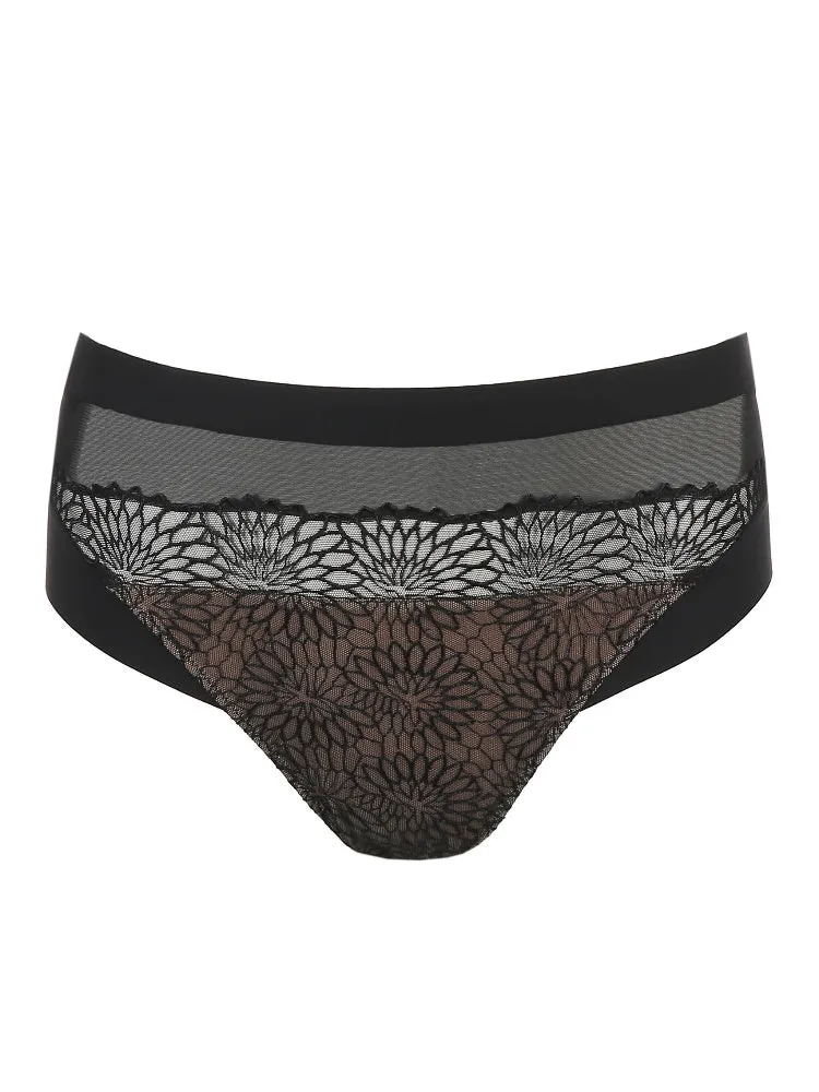 Sophora Full Brief