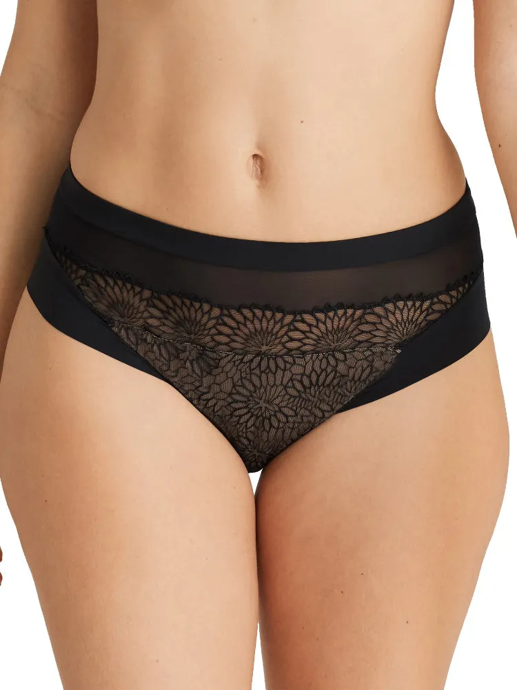 Sophora Full Brief