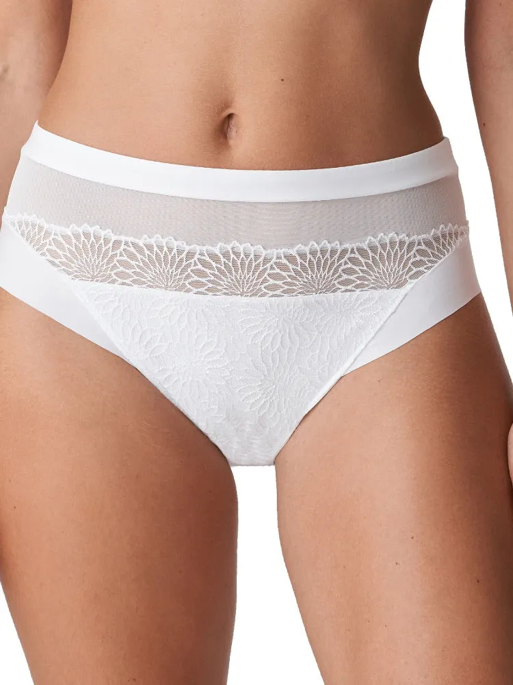 Sophora Full Brief