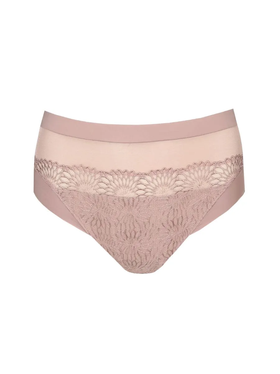 Sophora Full Brief